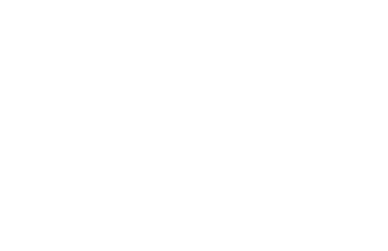 20240717-guianaturalsaúde-logo 2