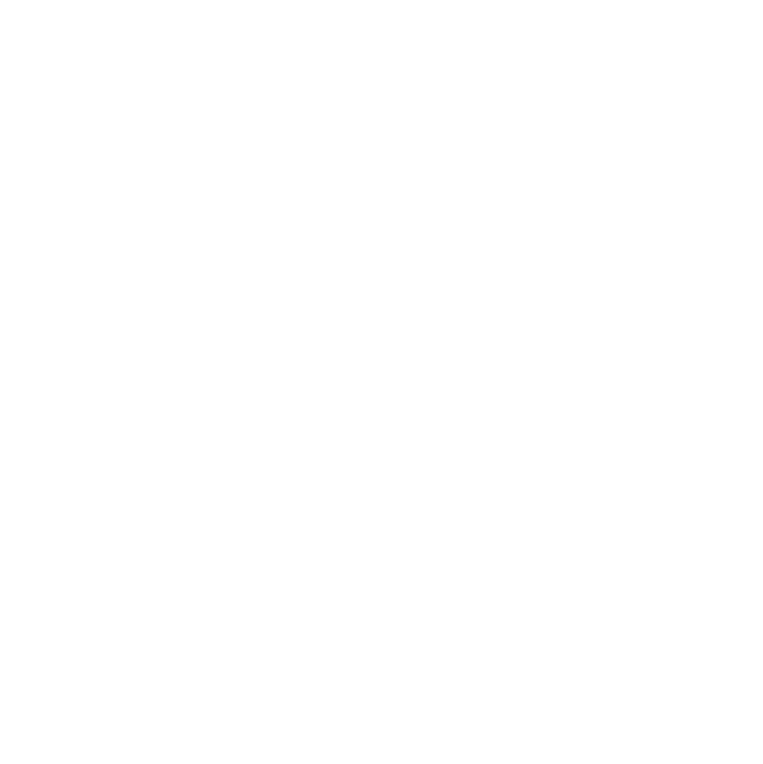 20250317-Viviane-Identidade Visual-Logo 3